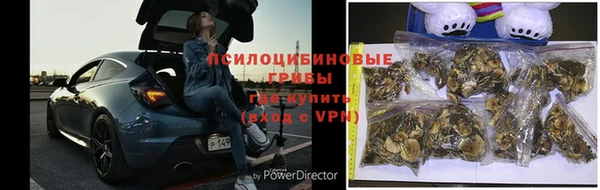 СК Усолье-Сибирское
