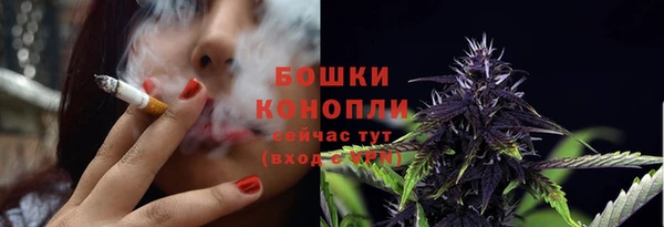 2c-b Туринск