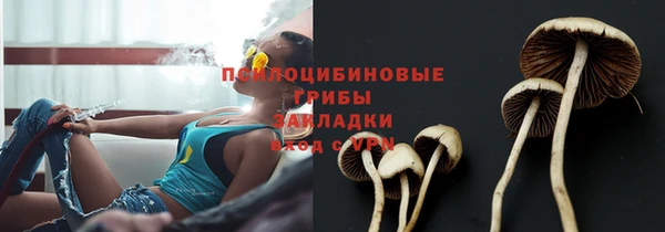 СК Усолье-Сибирское