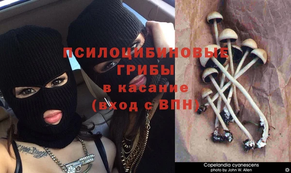 таблы Усмань