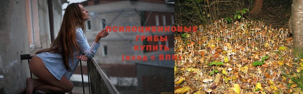 СК Усолье-Сибирское