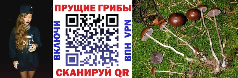 Галлюциногенные грибы мухоморы  где купить   Шелехов 